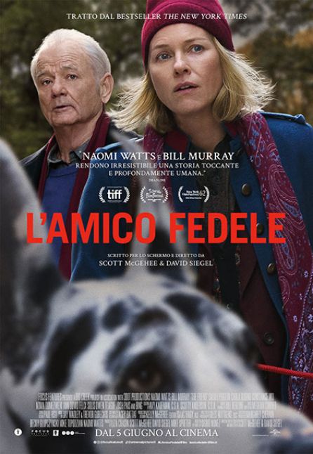 l'amico